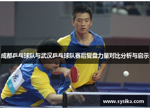 成都乒乓球队与武汉乒乓球队赛后复盘力量对比分析与启示