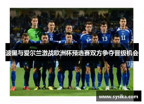 波黑与爱尔兰激战欧洲杯预选赛双方争夺晋级机会